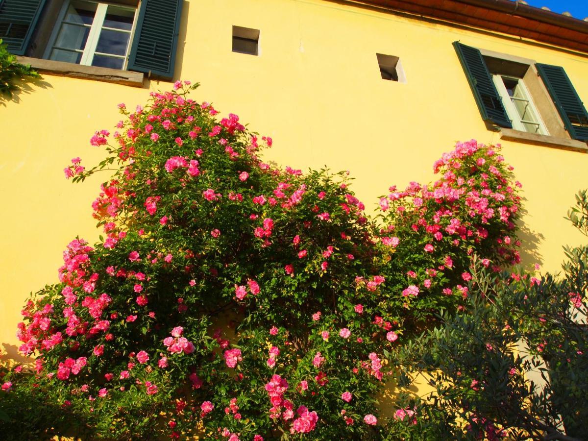 Il Sole Del Sodo Vendégház Cortona Kültér fotó