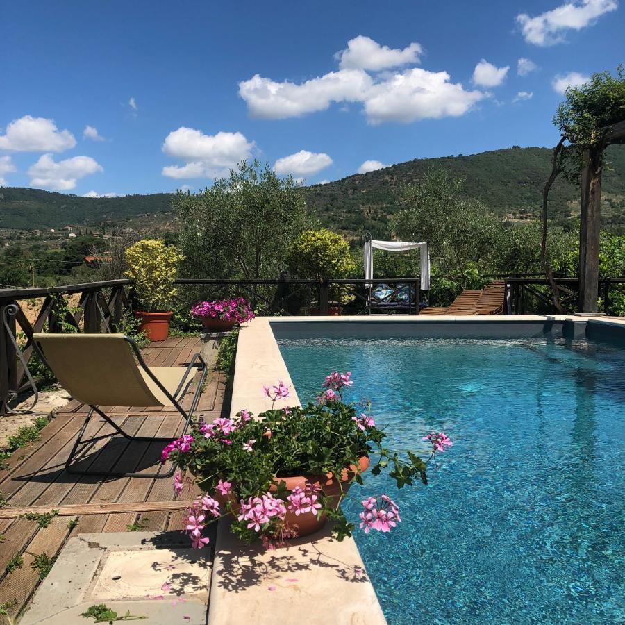 Il Sole Del Sodo Vendégház Cortona Kültér fotó