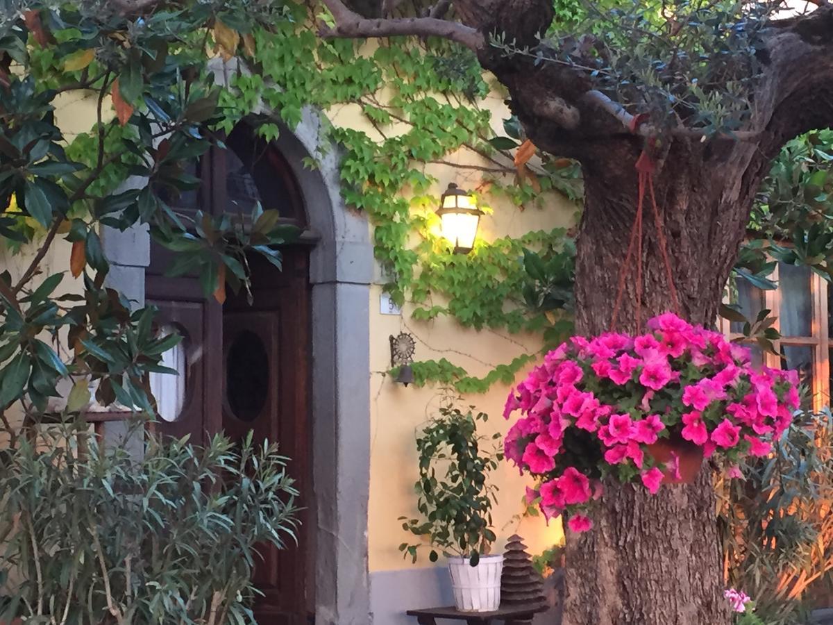 Il Sole Del Sodo Vendégház Cortona Kültér fotó