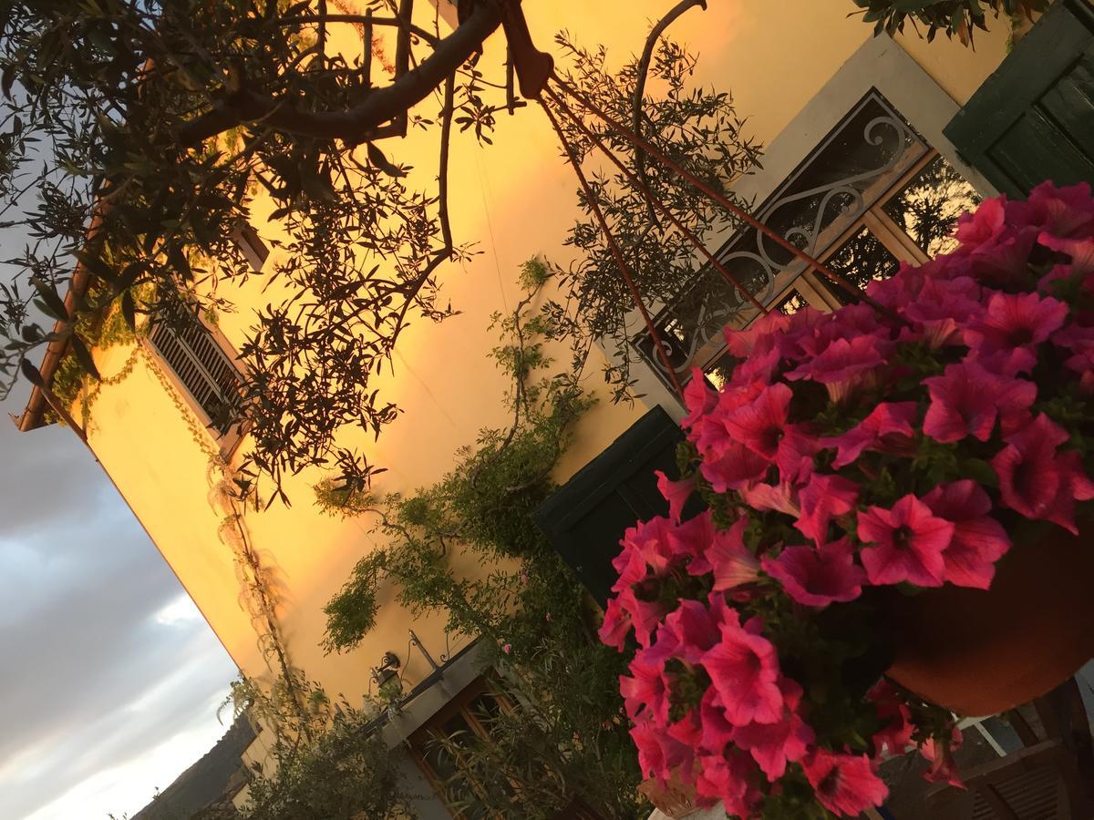 Il Sole Del Sodo Vendégház Cortona Kültér fotó